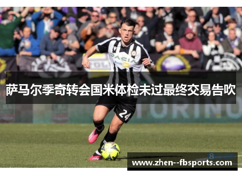 萨马尔季奇转会国米体检未过最终交易告吹 萨马尔季奇转会国米体检未过最终交易告吹